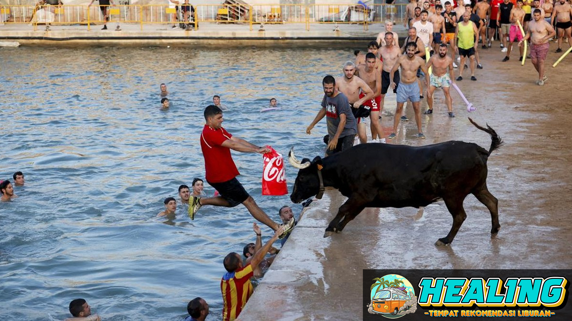 Mengenal Lebih Dekat Festival Ekstrem di Spanyol: Nyebur ke Laut Bareng Banteng