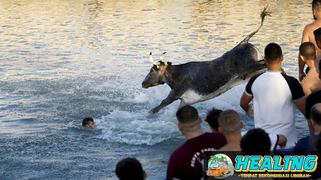 Mengenal Lebih Dekat Festival Ekstrem di Spanyol: Nyebur ke Laut Bareng Banteng