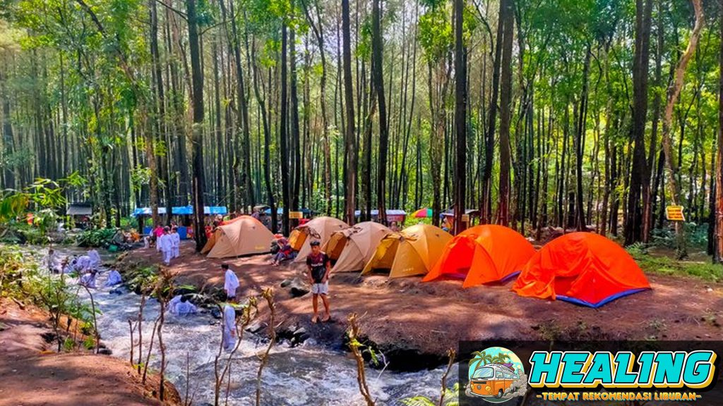 Keindahan Alam dan Kesenangan Camping di Kampung Cipulir