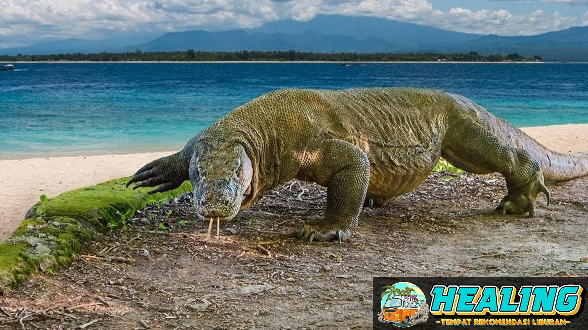 Strategi Sukses Kunjungan ke Labuan Bajo saat TN Komodo Tutup