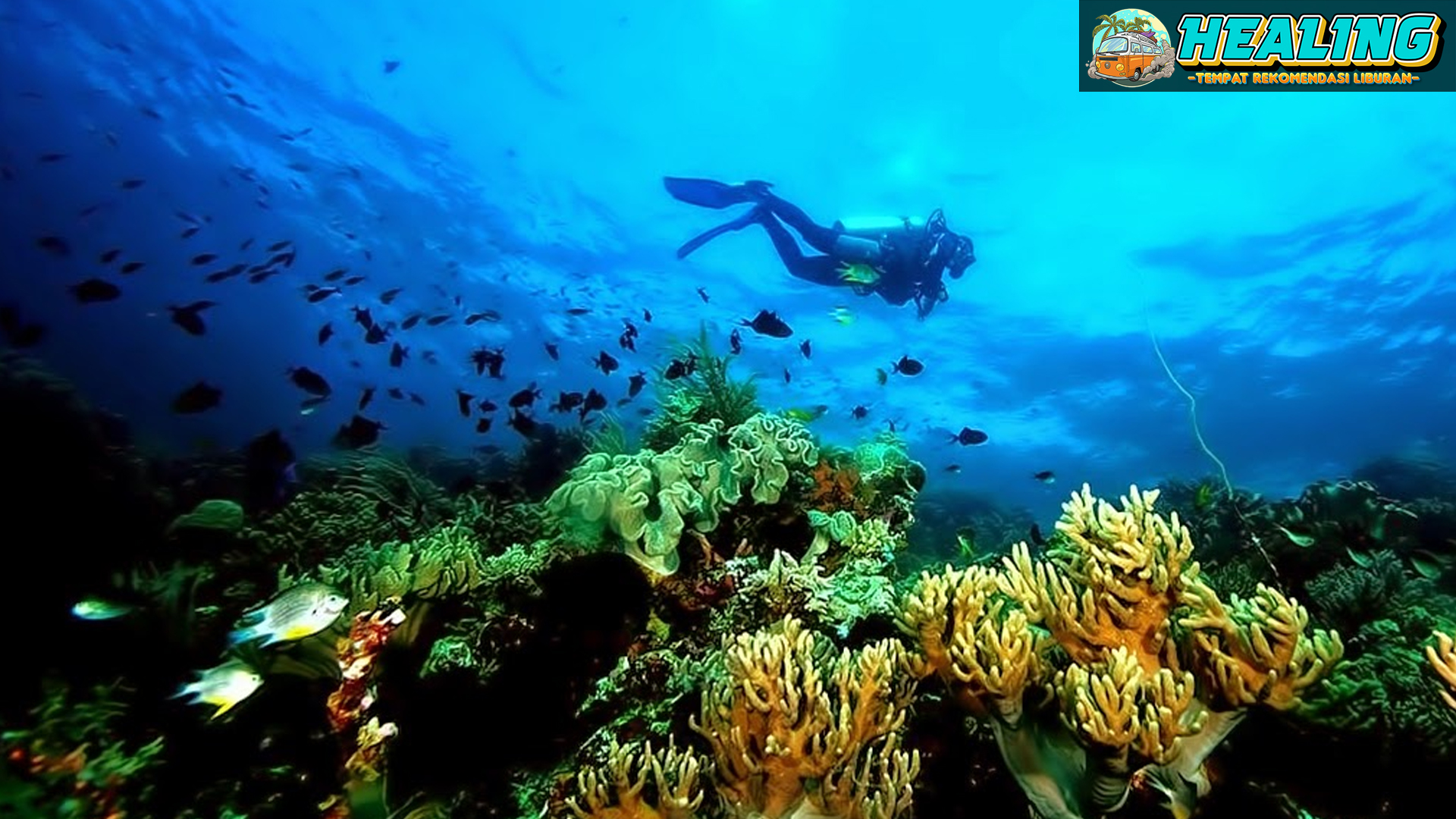 Taman Nasional Wakatobi: Surga bagi Pecinta Alam