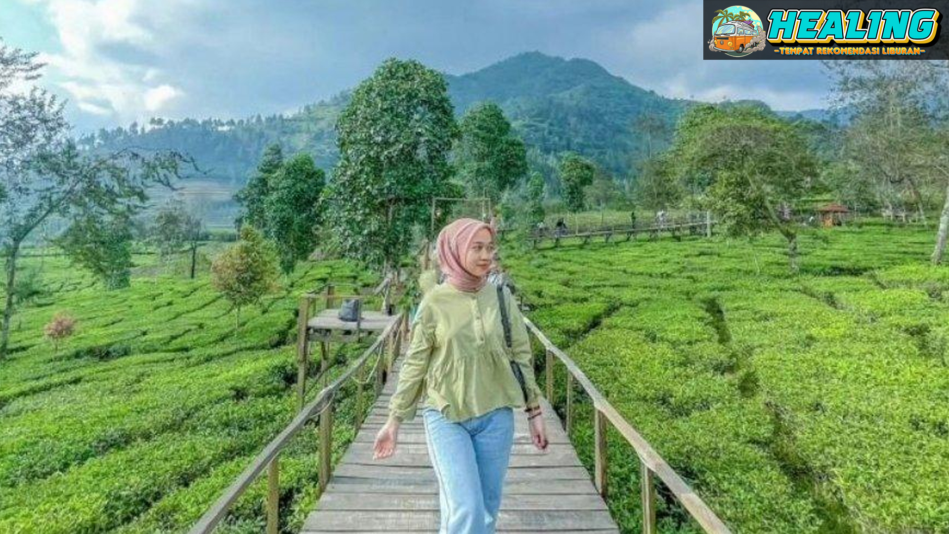 Kebun Teh Tambi: Destinasi Healing yang Memikat