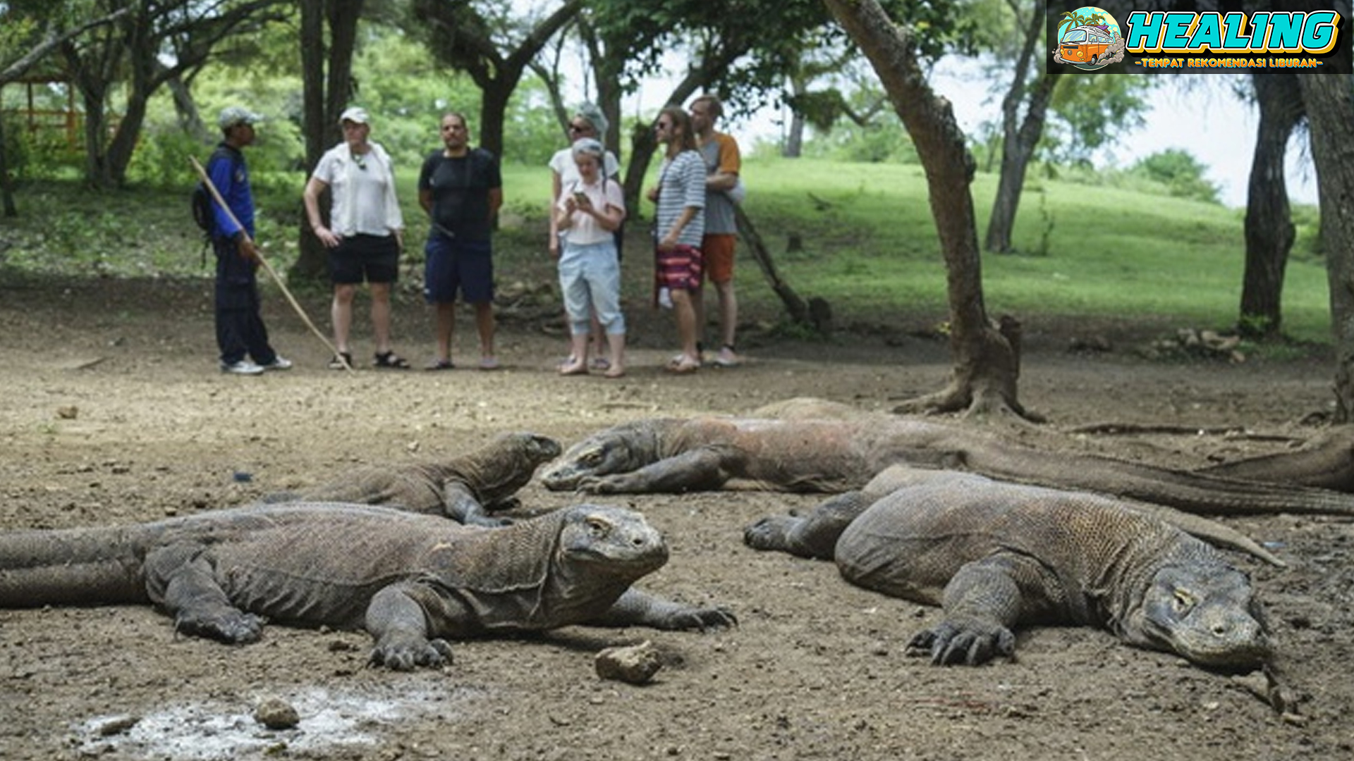 Menyelami Kebijakan Buka Tutup Taman Nasional Komodo