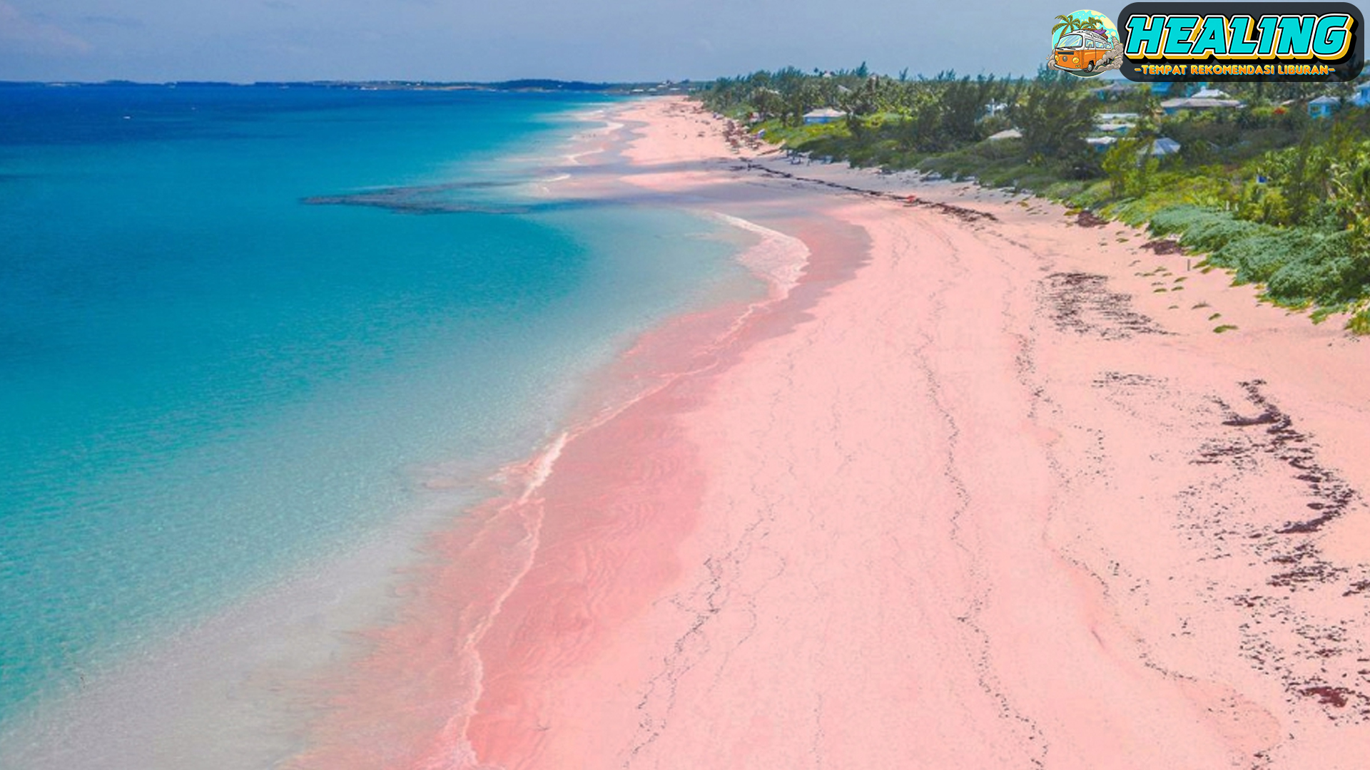 7 Alasan Mengapa Pantai Pink Wajib Dikunjungi