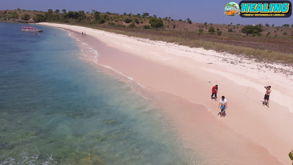 7 Alasan Mengapa Pantai Pink Wajib Dikunjungi