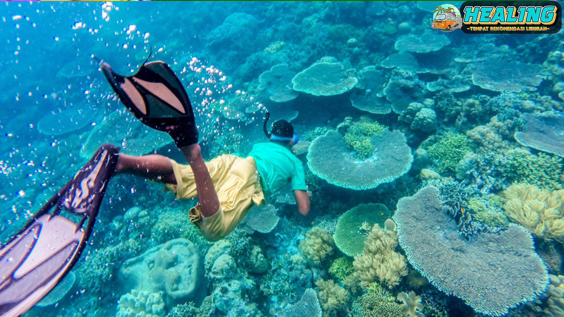 Menyelami Keindahan Bawah Laut Wakatobi