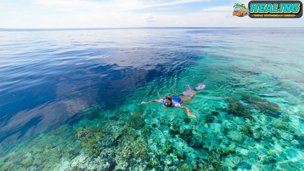 Menyelami Keindahan Bawah Laut Wakatobi