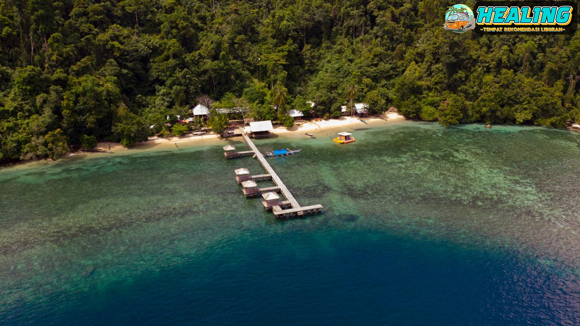 Kunjungi Taman Nasional Cendrawasih Keindahan Laut dan Darat