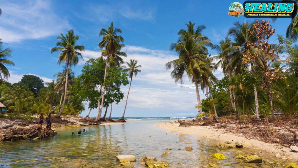 Keajaiban Alam Pulau Biak: Terumbu Karang dan Air Terjun