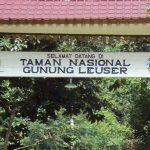 Surga Para Pengamat Satwa: Taman Nasional Gunung Leuser