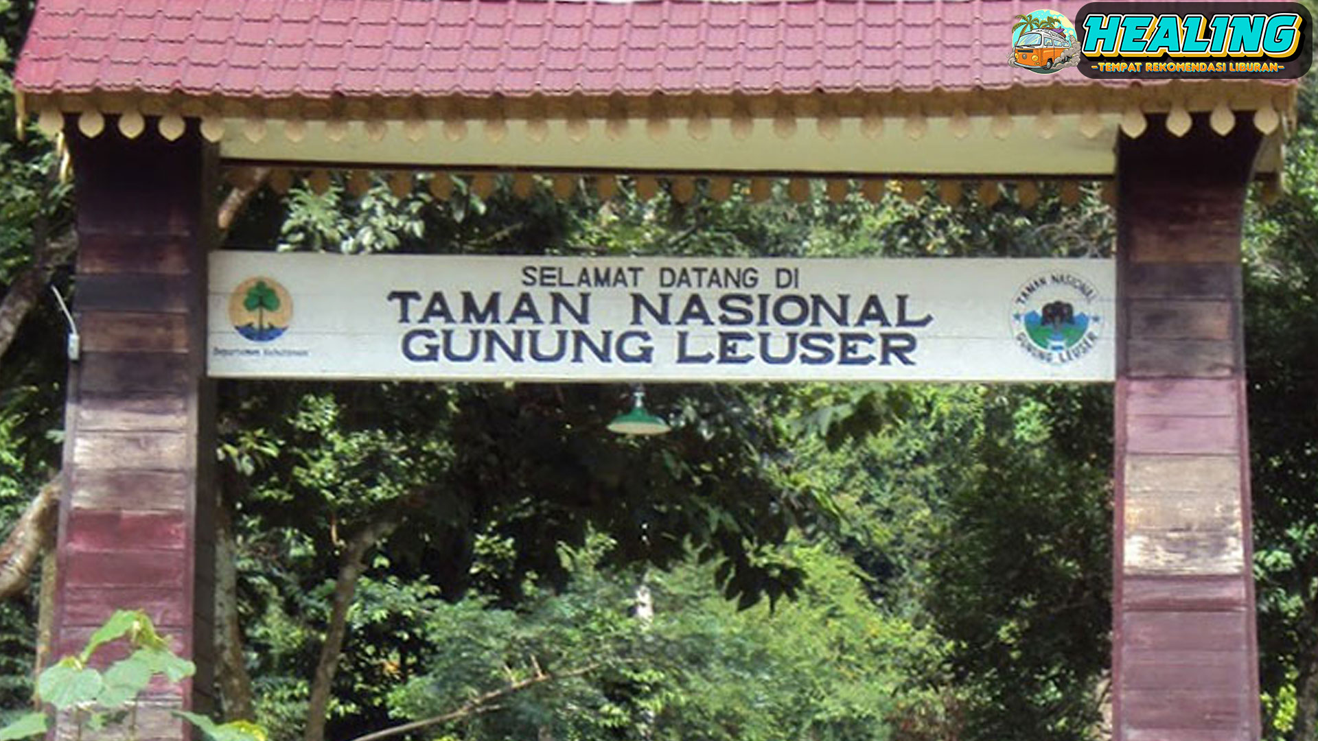 Surga Para Pengamat Satwa: Taman Nasional Gunung Leuser