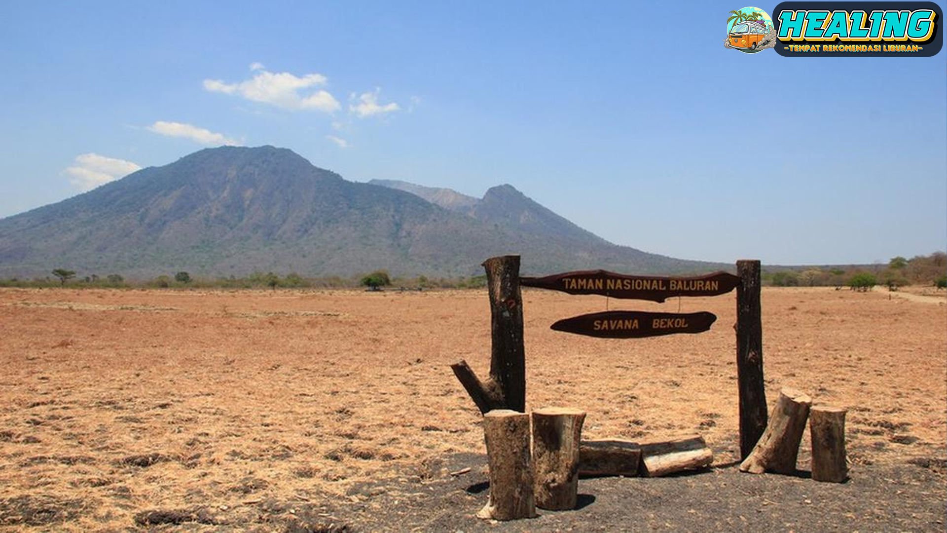 Panduan Lengkap Wisata ke Taman Nasional Baluran, Banyuwangi