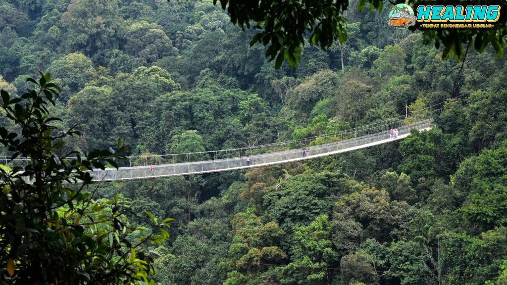 Situ Gunung: Refleksi Keindahan Alam Jawa Barat!