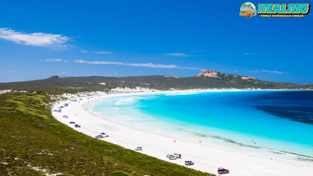 Lucky Bay: Pantai dengan Kanguru sebagai Tamu Istimewa!