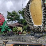 Warso Farm: Surga Durian di Bogor yang Wajib Kamu Kunjungi!