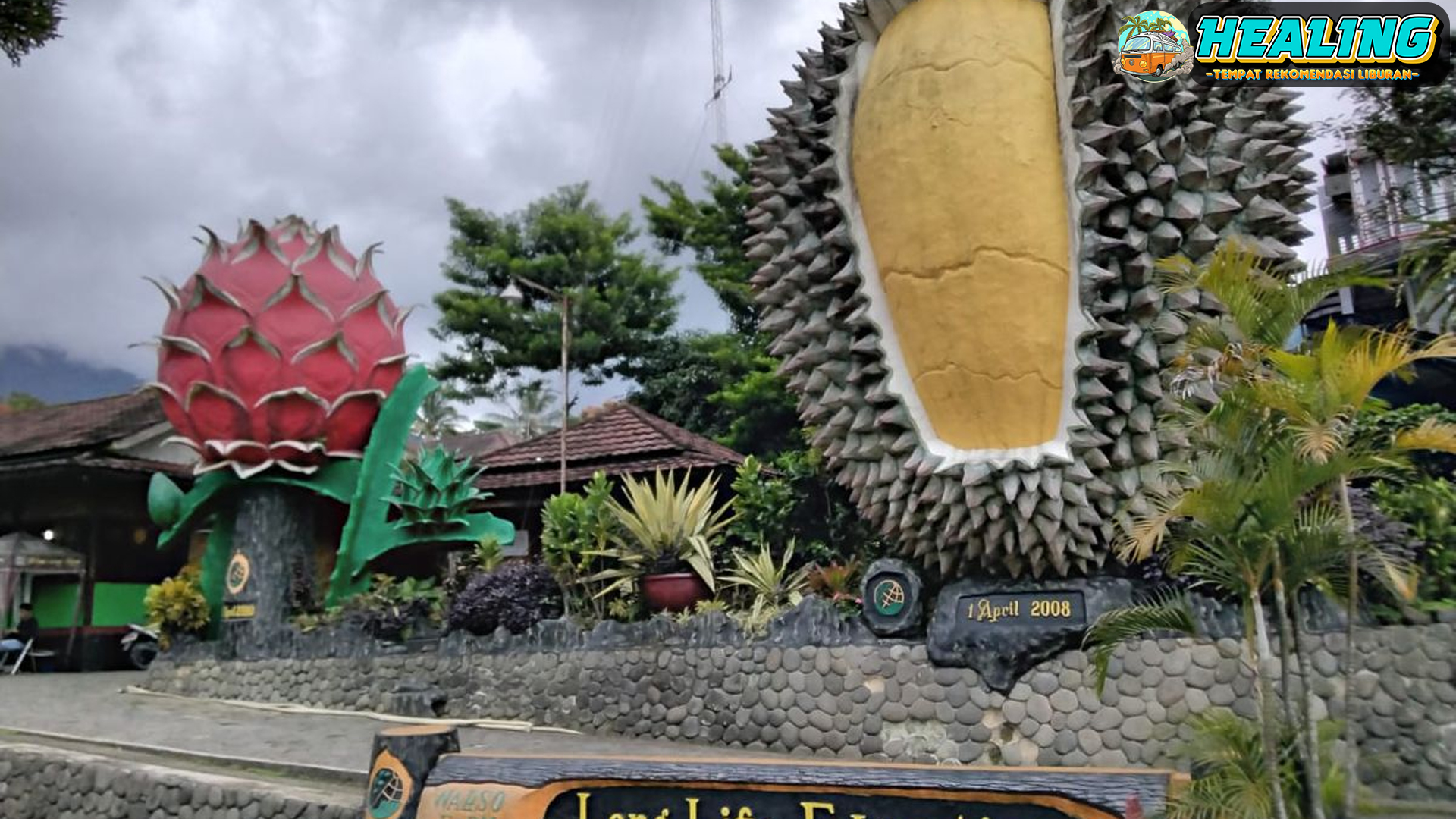 Warso Farm: Surga Durian di Bogor yang Wajib Kamu Kunjungi!