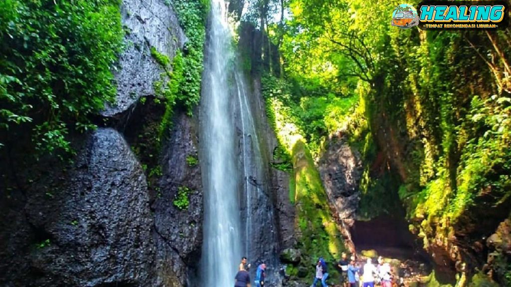 Curug Nangka: Oasis Sejuk di Tengah Hiruk Pikuk Kota Bogor!