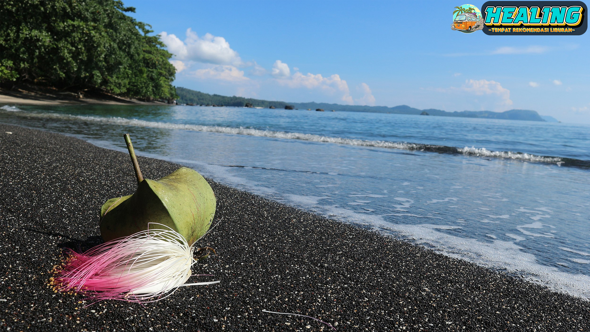 Menelusuri Keindahan Alam Pantai Tangkoko yang Memukau!