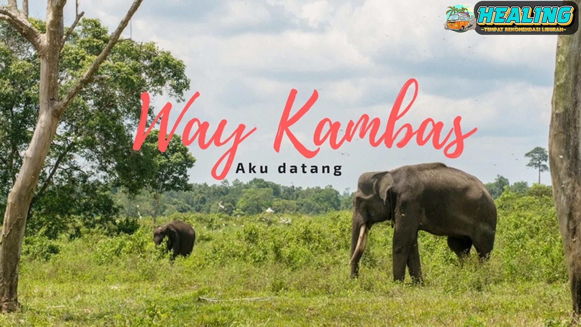 Way Kambas: Surga Satwa yang Menakjubkan di Lampung!