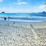 Pantai Selong Belanak: Destinasi Santai Panorama Menawan!